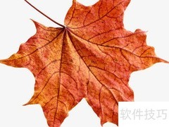 枫叶如火，秋日诗意画卷