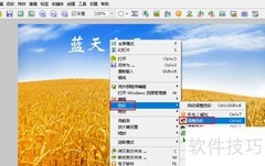 FastStone调色技巧