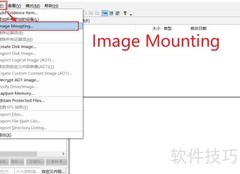 FTK Imager挂载镜像教程
