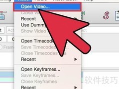 Aegisub字幕制作入门