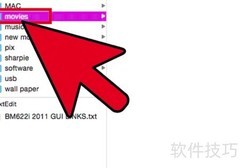 Aegisub字幕制作入门指南