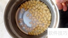 自发黄豆芽全攻略