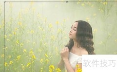 在线图片编辑器裁剪照片教程