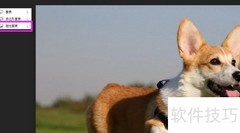 在线抠图教程：轻松编辑照片