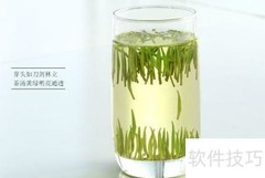 茶叶分类全解析