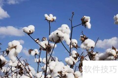 棉花等级划分标准详解
