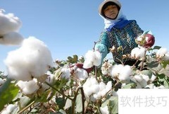 棉花等级划分标准解析