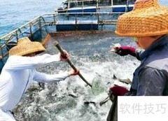 渔业属于第几产业？