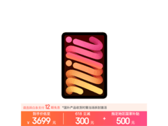 iPad mini 7 256GB到手4199
