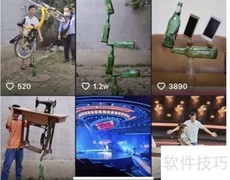 王业坤平衡术真伪揭秘