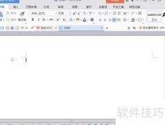 WPS文档数量设置技巧