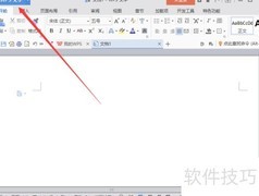 WPS文档数量设置技巧