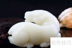 白玉中的极品：羊脂白玉解析