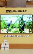 50分钟硬核科普！人民日报为海信RGB-Mini LED电视打call：这创新很中国