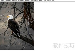 图片王精灵制作色差图教程