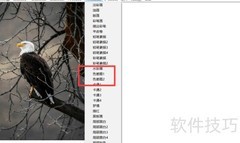 图片王精灵制作色差图教程
