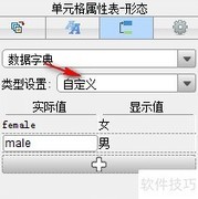 水晶报表与FineReport数据字典对比