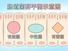 孕妇能吃的益生菌品牌 2026国产0添加益生菌实测榜单