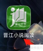 晋江小说账务查询指南