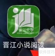 晋江小说账务查询指南