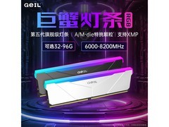 GeIL金邦48GB DDR5 7200内存