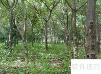 雪燕烘干机颜色与操作指南