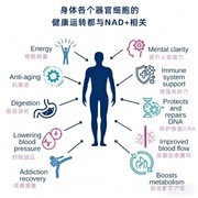 谷歌又现惊人预言: 2029年人类实现永生？赛立复力活元席卷4亿中老年圈