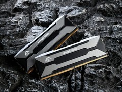 CUDIMM高频猛将！新乐士屠龙勇士DDR5 RGB 8800MT/s图赏