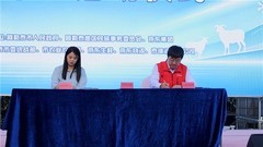 “我的阿勒泰”照进现实！“京东开羊季”抢鲜直供阿勒泰羊，政企携手助力产销