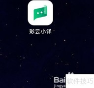 彩云小译翻译设置指南