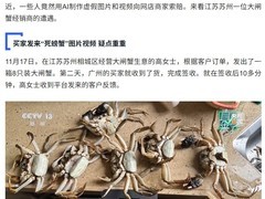 AI合成视频骗退款被拘 苏州大闸蟹商户识破骗局