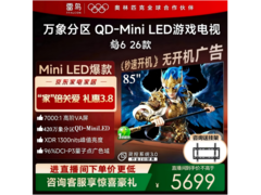 雷鸟鹤6 85R69A电视，优惠低至4834元