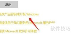 Windows系统升级方法指南