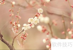 Win10移除任务栏时钟