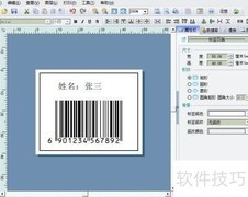 Label mx连接ACESS打印标签