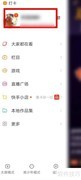 快手LD查询方法