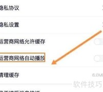 中国蓝TV开启自动播放