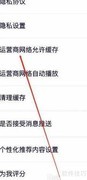 中国蓝TV缓存设置指南