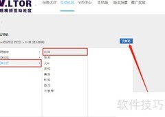Vltor悬赏任务发布指南