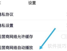 中国蓝TV如何设置自动播放