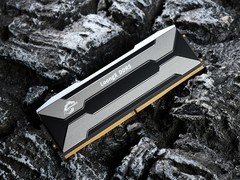 CUDIMM高频猛将！新乐士屠龙勇士DDR5 RGB 8800MT/s图赏