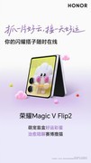 你的闪耀搭子随时在线，荣耀Magic V Flip2萌宠上新啦！