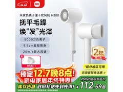 米家H300电吹风白款热卖