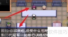 绿宝石5.3二周目通关指南