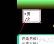 口袋妖怪5.3通关指南