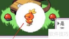 绿宝石5.3全攻略速览