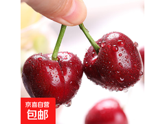 山东大樱桃5斤39.9元，满减后34.9元，现摘现发！
