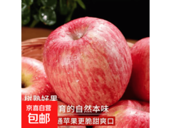 京喜加山东红富士中果1斤装，到手仅4.99元！