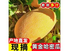 久雅优鲜山东黄金哈蜜瓜，原价39.9，券后31.9！