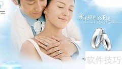 白金与铂金哪个更好？